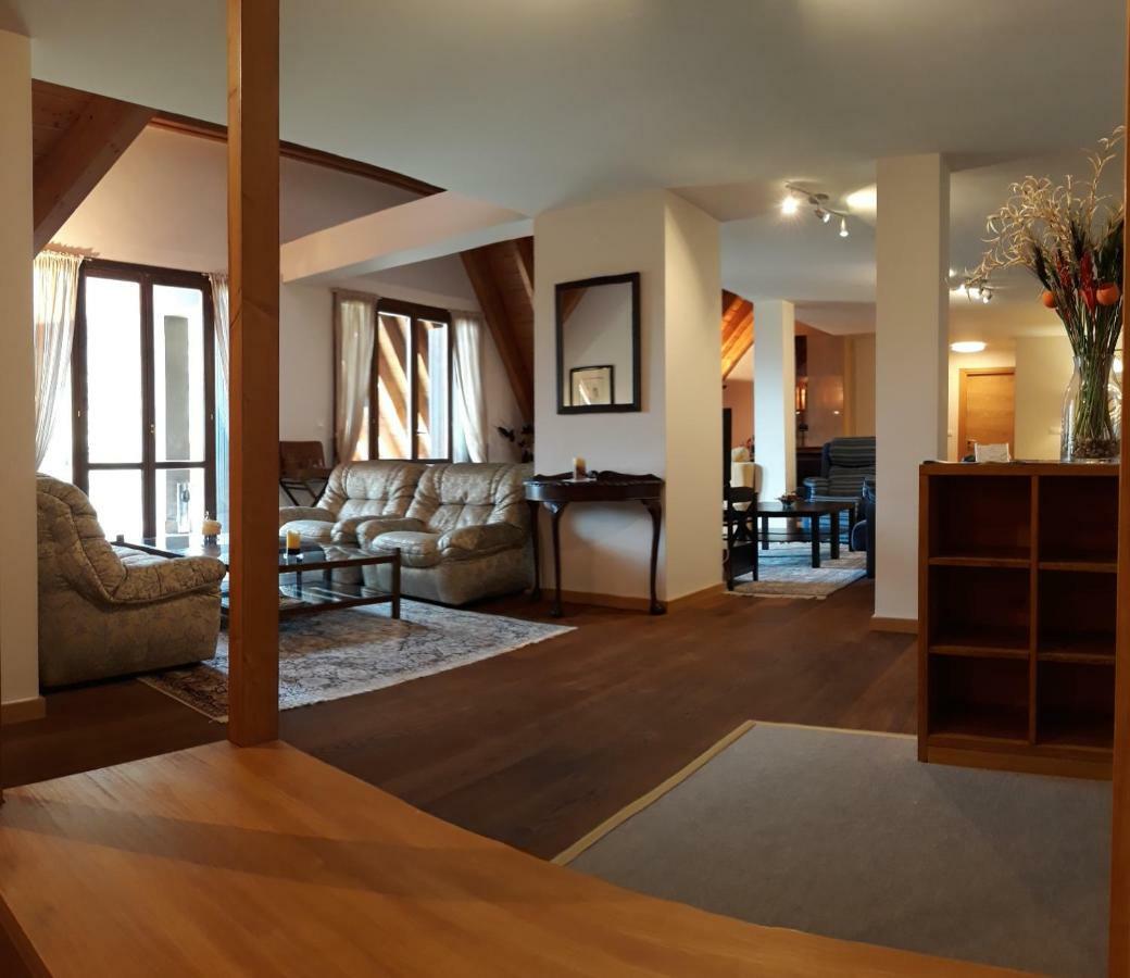 Excelsior. Espectacular Y Exclusivo Apartamento En Sallent De Gallego. エクステリア 写真